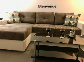 NARBONNE : SUPER APPARTEMENT DE QUALITÉ